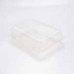Domo Transparente Rectangular Mediano 24x16x9 Cm