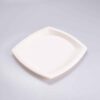 Plato Cuadrado Grande 22.5x22.5 Cm Bio 125 Pz