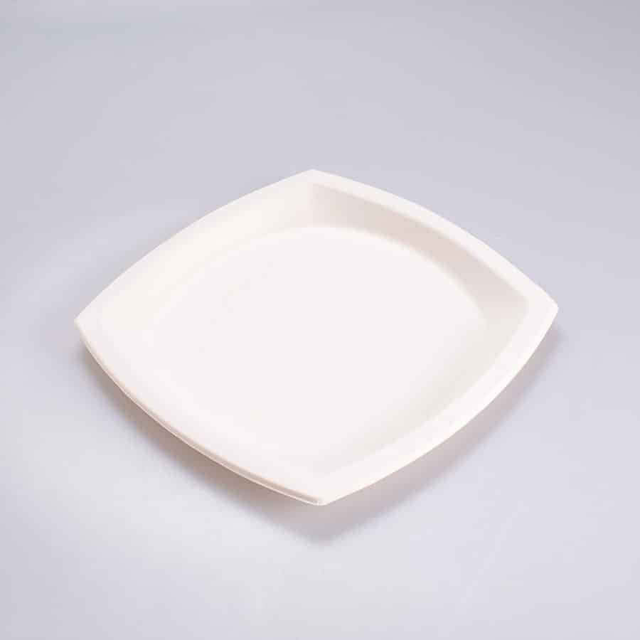 Plato Cuadrado Grande 22.5×22.5 Cm Bio 125 Pz