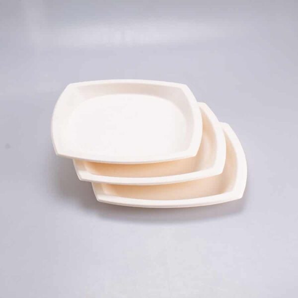Plato Cuadrado Grande 22.5x22.5 Cm Bio 125 Pz