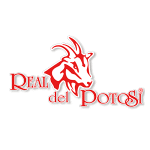 Real del potosi