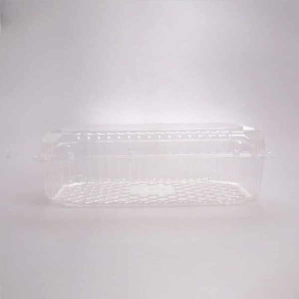 Domo Transparente Rectangular 24.5x17x7 Cm