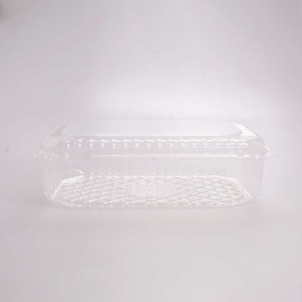 Domo Transparente Rectangular 26.5x17.6x8 Cm