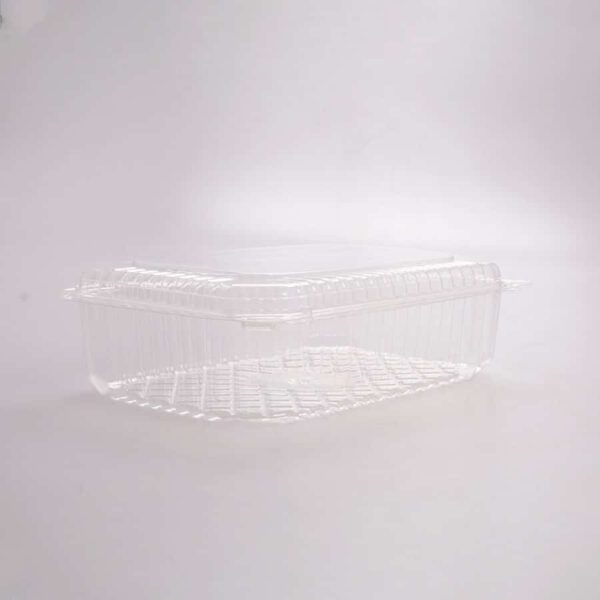 Contenedor Transparente Rectangular 26.5x17.6x8 Cm