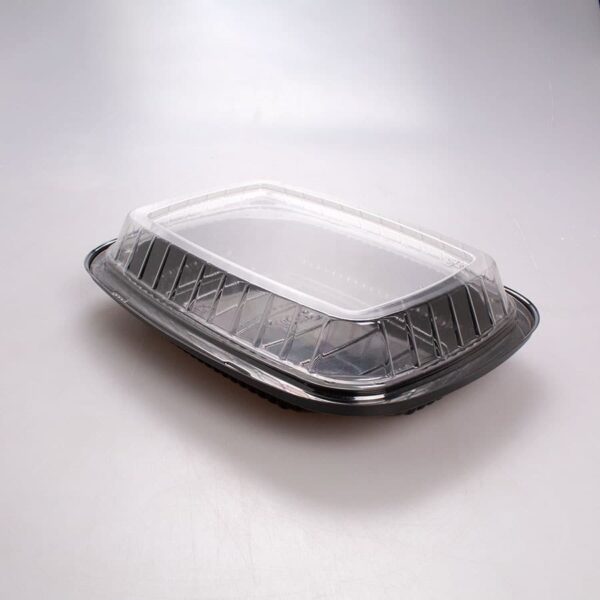 Contenedor Base Negra 25x17x5 Cm Inix