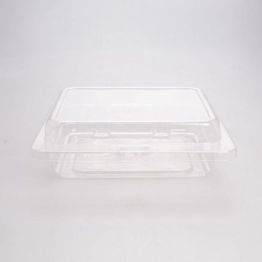 Domo Transparente 14x14x3 Cm Inix