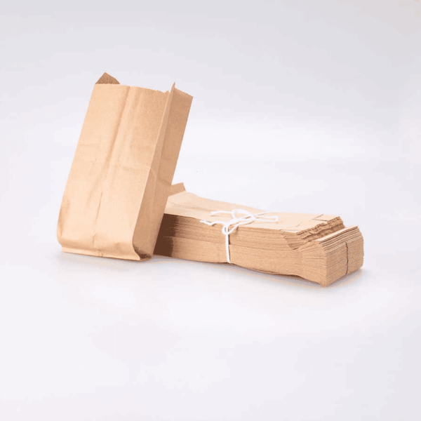 Bolsa de Papel Panera #1 100 Pz