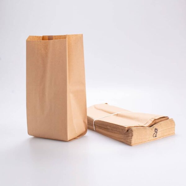 Bolsa de Papel Panera #8 100 Pz