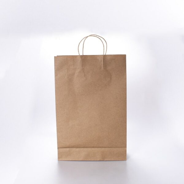 Bolsa con Asa Kraft Jumbo 12 Pz