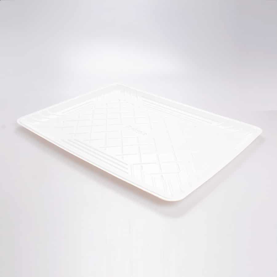 Charola Rectangular P Cuevas #14