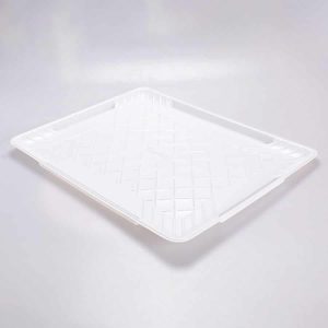 Charola Rectangular P Cuevas #20