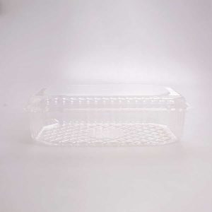 Contenedor Transparente Rectangular 26.5x17.6x8 Cm