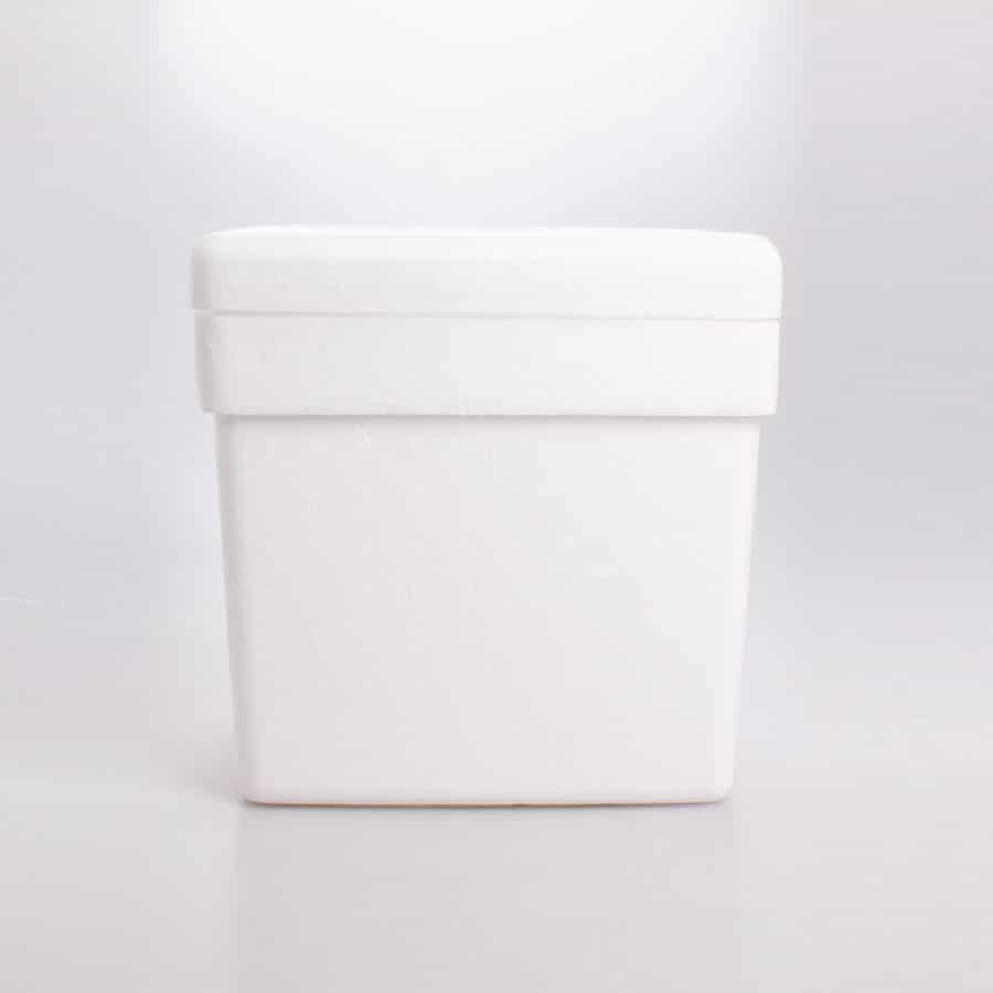 Hielera Chica Convermex 11 Lt