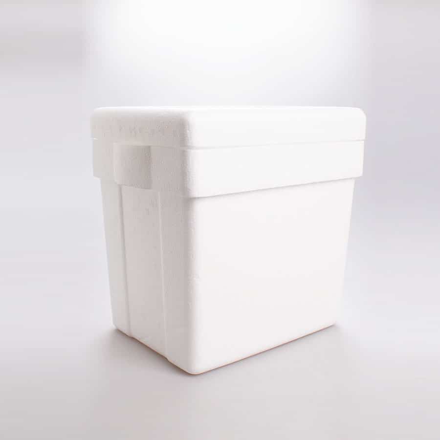 Hielera Chica Convermex 11 Lt