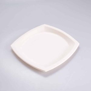 Plato Cuadrado Grande 22.5x22.5 Cm Bio 125 Pz