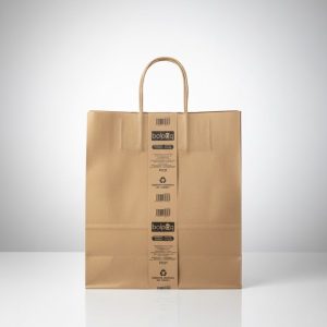 Bolsa Kraft  bolpaq 32x45x15 Cm 12 PZ
