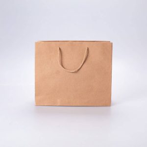 Bolsa de Papel Mediana Horizontal