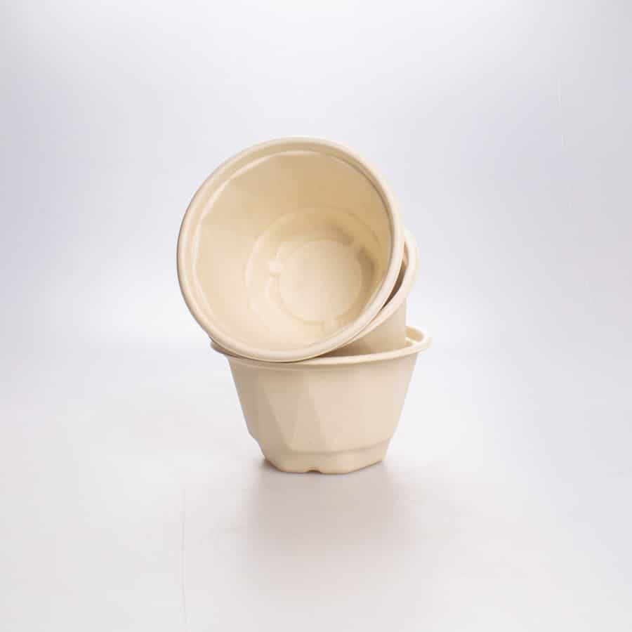 Contenedor 1000 Ml Caña Bio 50 Pz