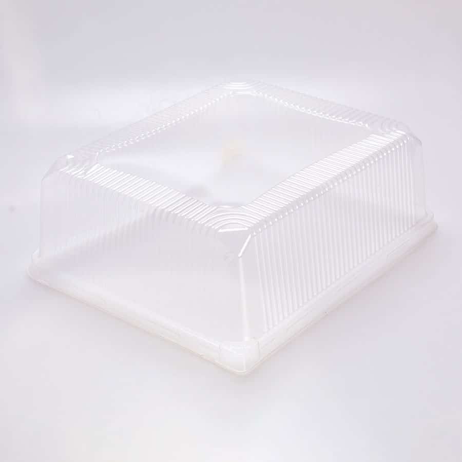 Cubierta Rectangular P Cuevas #12