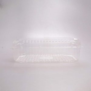 Contenedor Transparente Rectangular 24.5x17x7 Cm