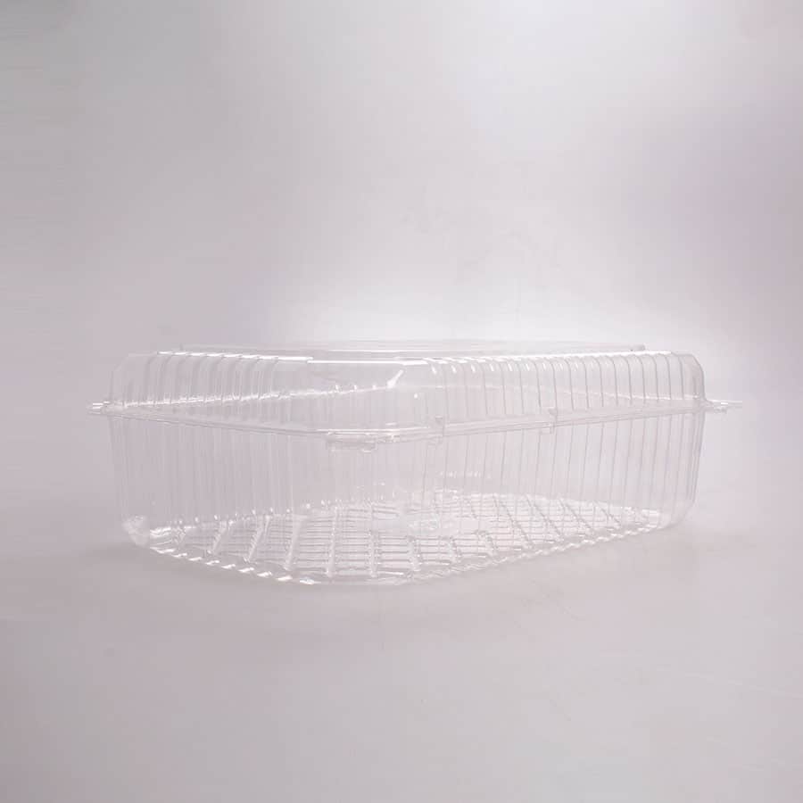 Contenedor Transparente Rectangular 24.5x17x7 Cm