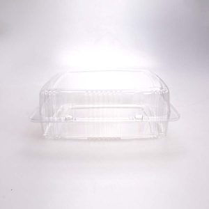 Contenedor Concha Grande 23x23x8 Cm WOW