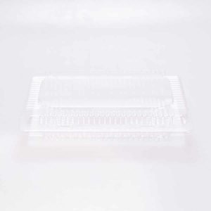 Contenedor  Transparente Estándar 24.5x18.5 Cm