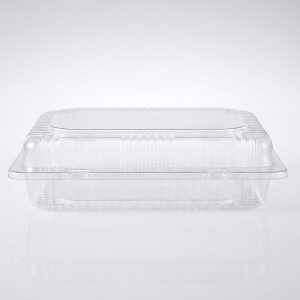 Domo Rectangular 24x18x7 cm WOW