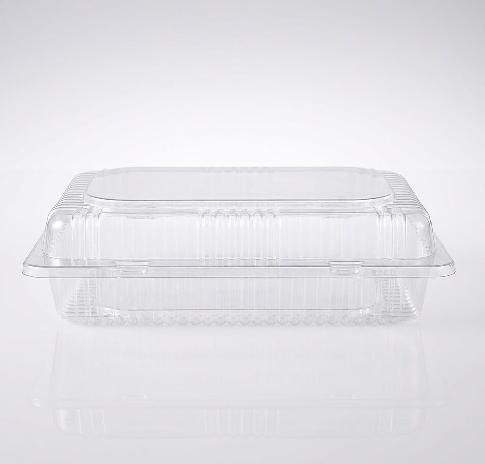 Domo Rectangular 24x18x7 cm WOW